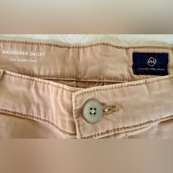 🌅 EUC: AG Adriano Goldschmied Wanderer Shorts 31R Sulfur Dune Rose Slim Trouser - Picture 9 of 13